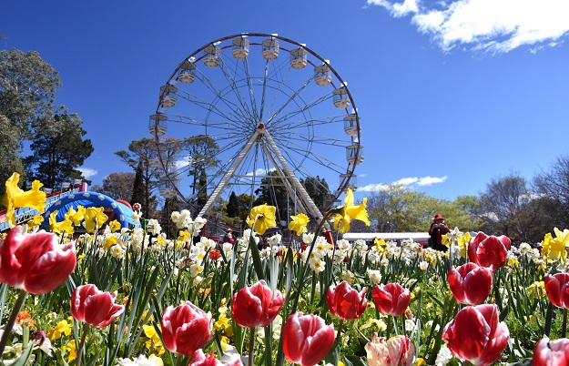 Sydney – Canberra (Lễ Hội Hoa) - Sydney	